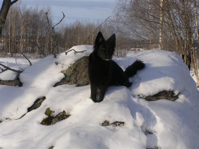 Cindy 003.JPG