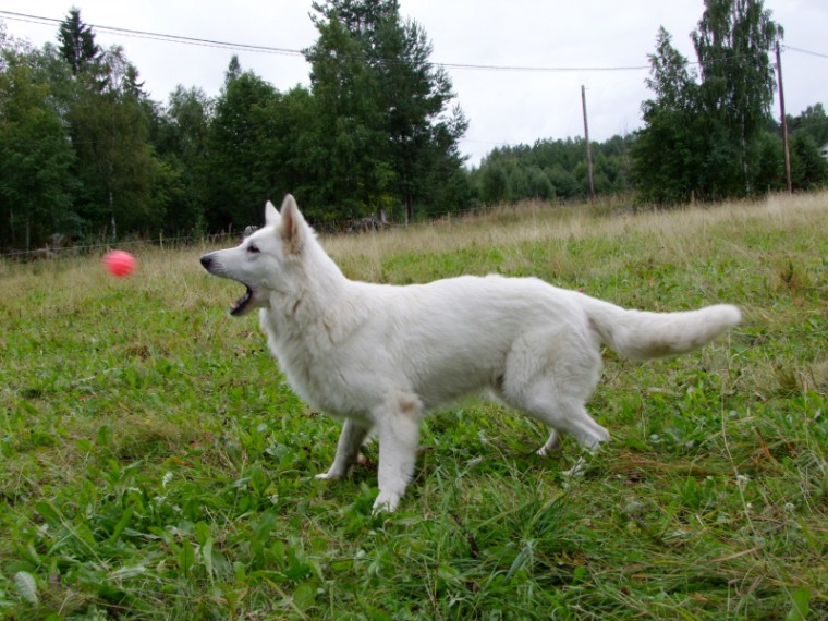 DSCF5759.JPG.jpg
