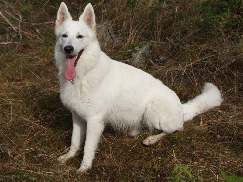 DSCF5840.JPG