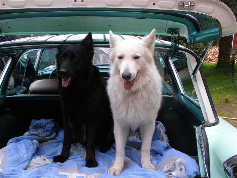 crusing 003.JPG