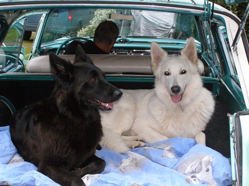 crusing 004.JPG