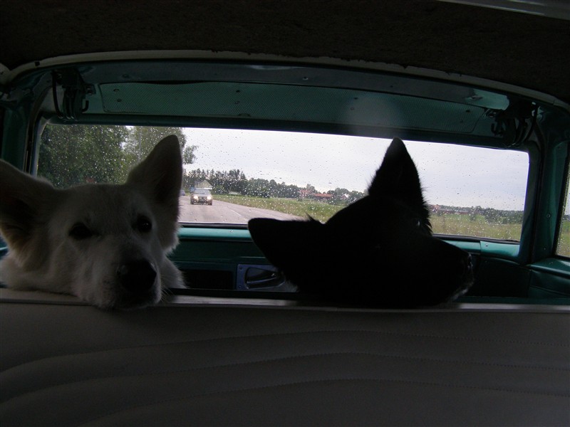 crusing 006.JPG